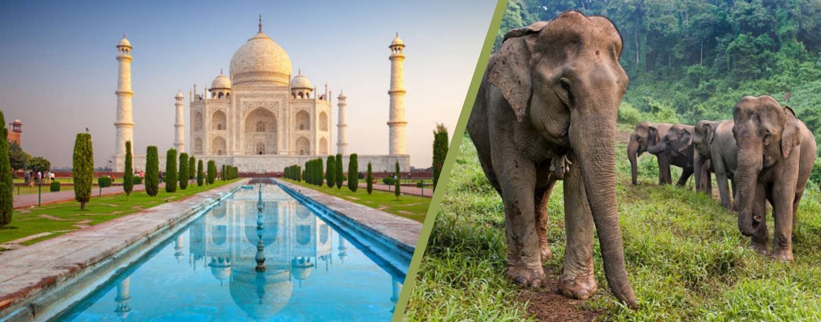 From Delhi: Taj Mahal Tour with Elephant Conservation Centre